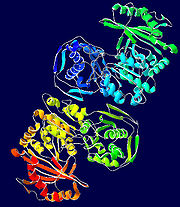 Phosphoglucomutase-1JDY.jpg