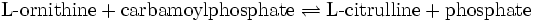 
\text{L-ornithine} + \text{carbamoylphosphate} \rightleftharpoons \text{L-citrulline} + \text{phosphate}
