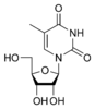 Chemical structure of thymidine