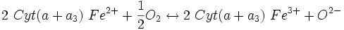2∼Cyt(a+a_{3})∼Feˆ{2+} + {1 \over 2}O_{2}  \leftrightarrow 2∼Cyt(a+a_{3})∼Feˆ{3+} + Oˆ{2-}